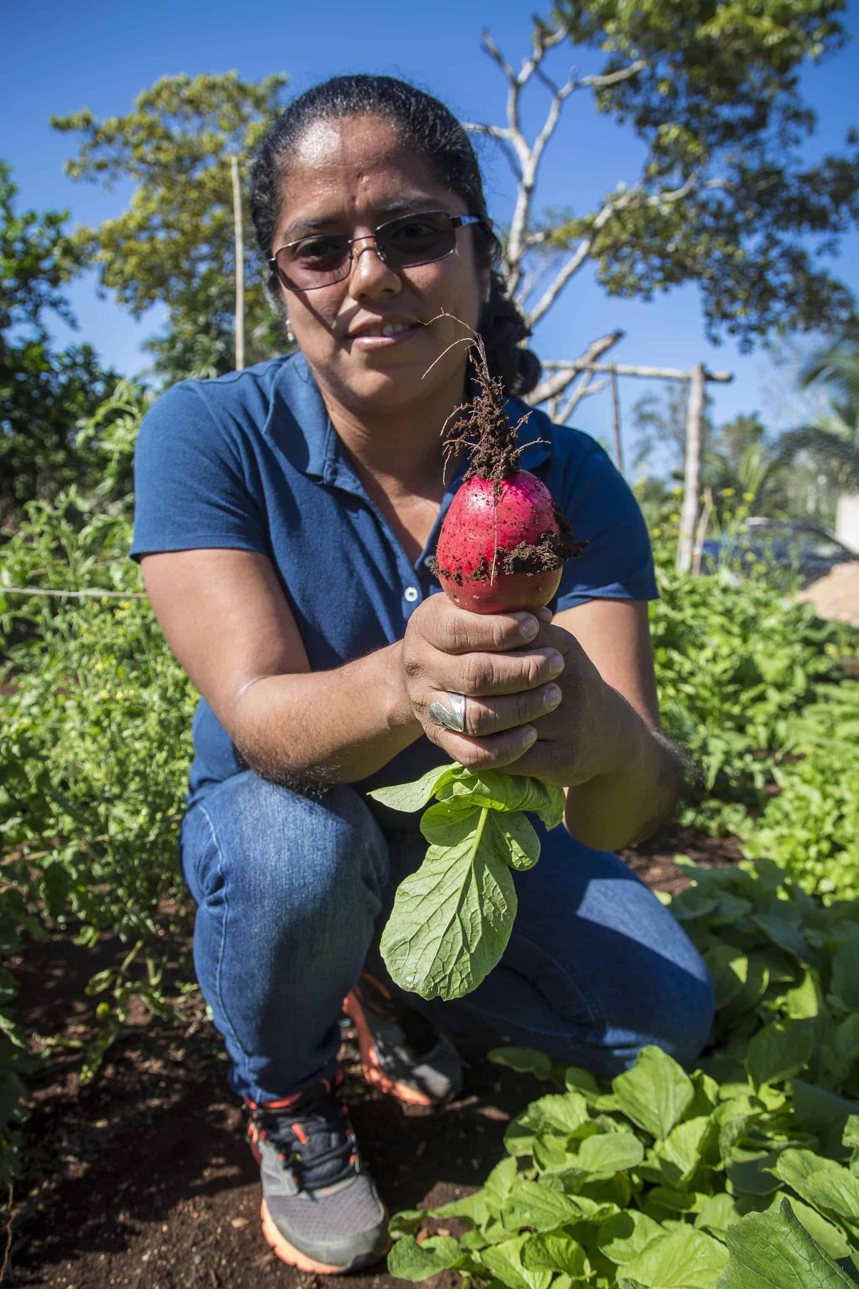 farmer, sistemabio