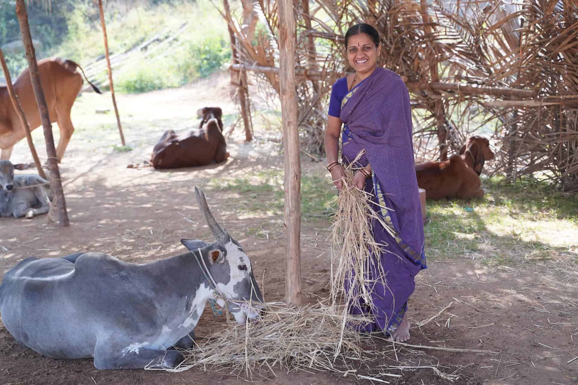 How Biodigesters Can Support Equal Opportunities for Farmers - Sistema.bio