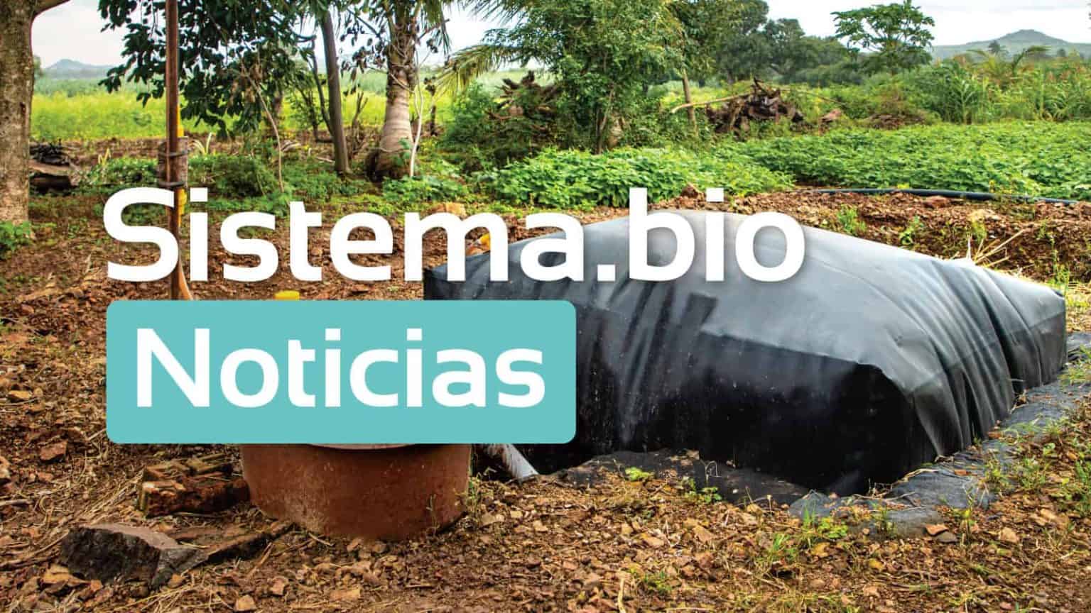 2024 - Noticias Sistema.bio (julio) - Sistema Bio
