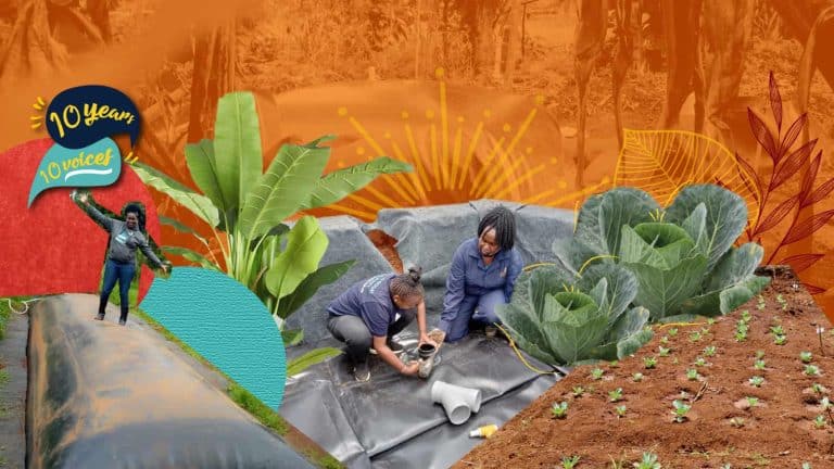 biogas engineer kenya