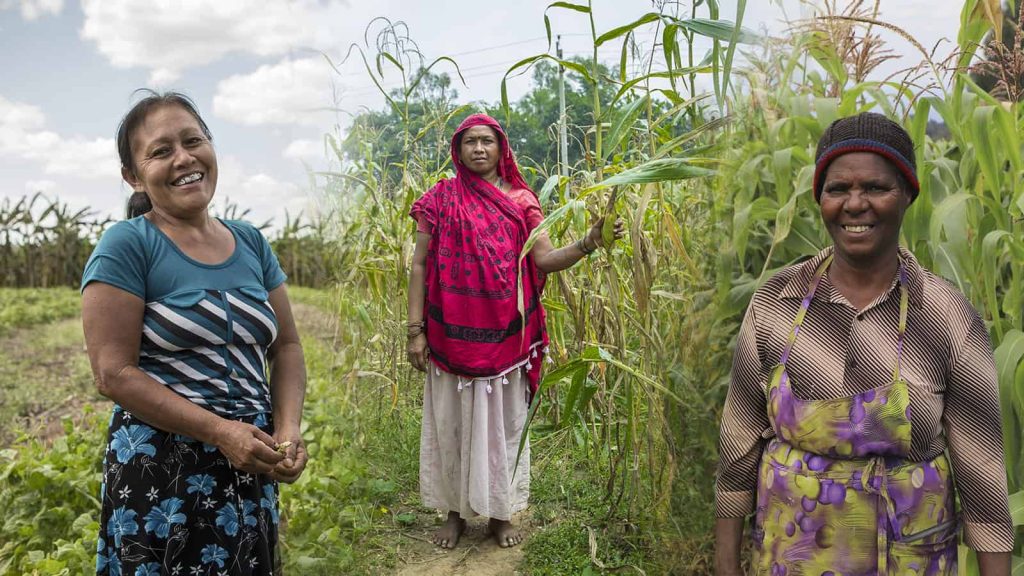 international rural women day