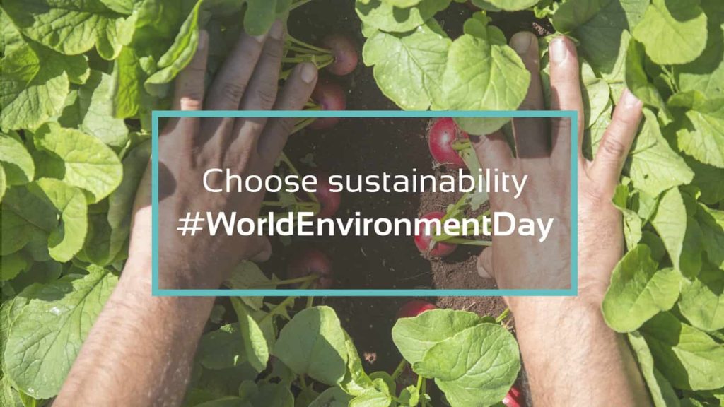 choose-sustaibability, world-enviroment-day