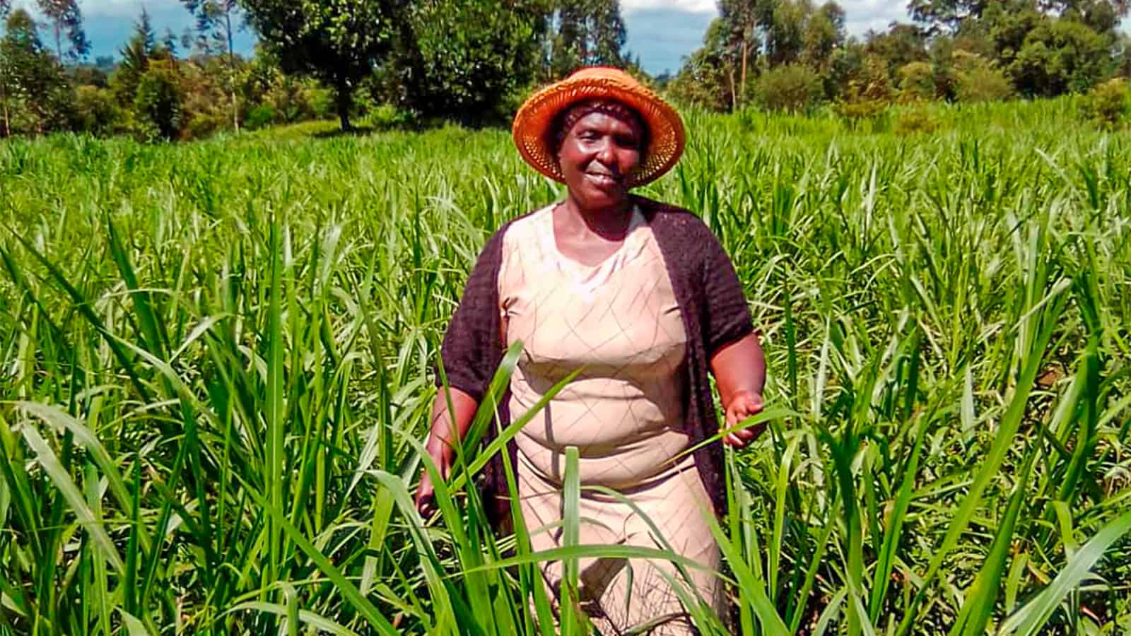 kenya-farmers-2