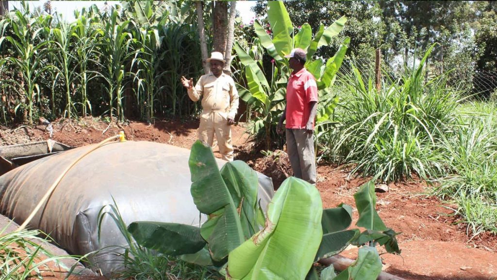 blog, sistemabio, biodigester