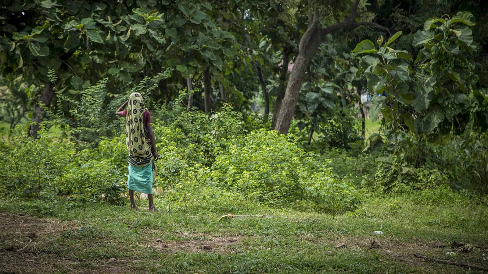 World Environment Day Concept Of The Importance Of Protecting Nature Of  Nature Conservation Earth Day Environmental Protection Poster Background  Banner Stock Photo - Download Image Now - iStock, image size:1600x900
