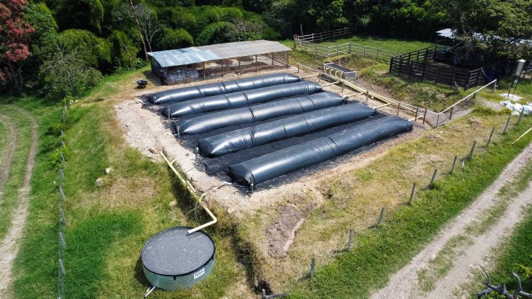 biodigesrores en colombia Sistema.bio