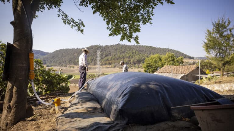Peruvian farmer using biodigester