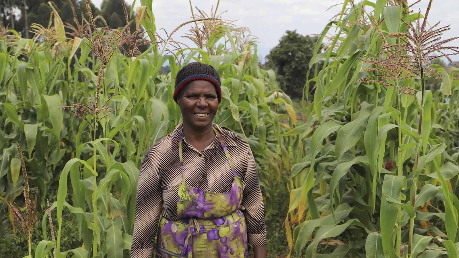 kenya-female-farmer-sistemabio-maize