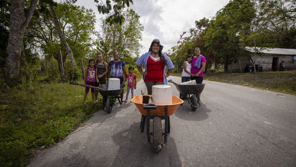 Mujeres latinoamericanas en la agricultura: sembrando cambios para cosechar oportunidades
